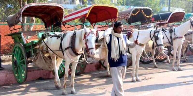 Tajmahal Tour With Tuktuk,Camel & Horse Cart - Important Information