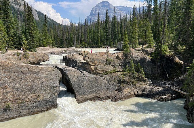 Takakkaw Falls Yoho National Park Bus Tour - The Experience: What Travelers Are Saying & What You’ll Love