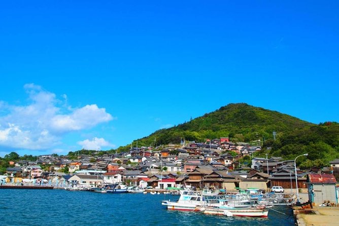 Takamatsu Full-Day Private Tour With Government-Licensed Guide - Weather Impacts