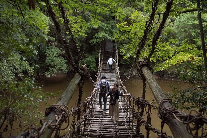 Takamatsu Half-Day Private Tour With Government-Licensed Guide - Inclusions