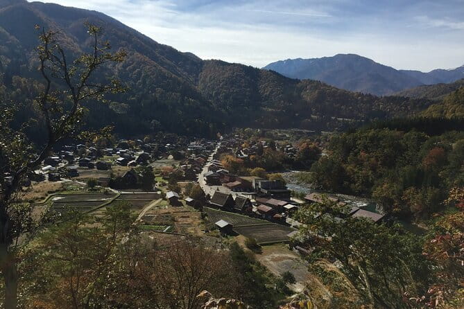 Takayama and Shirakawago Private Guided Tour Using Minivan - Guided Tour Features