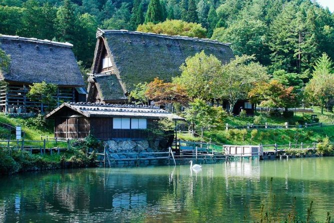 Takayama Full-Day Private Tour With Government Licensed Guide - Tour Experience