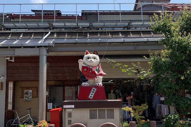 Takayama Old Town Walking Tour With Local Guide - Unique Culture and History