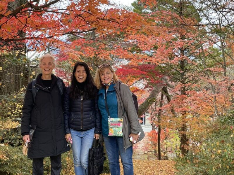 Takayama: Private Walking Tour With a Local Guide - Hidden and Interesting Places