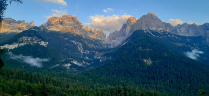 Take a Hike to the Most Beautifull Nature Close to the City - Pricing and Reservation