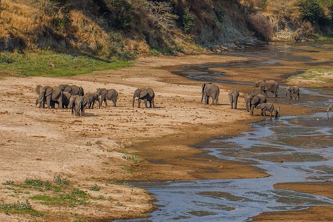 Take Me to Tarangire and Ngorongoro -3 Days - Discovering Lake Manyara National Park