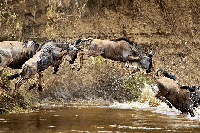 Take Me to Tarangire and Ngorongoro -3 Days - Duration and Itinerary Details