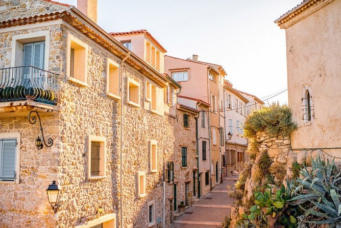 Take You on an Unforgettable Trip Around Cannes and Antibes - Indulge in Culinary Delights