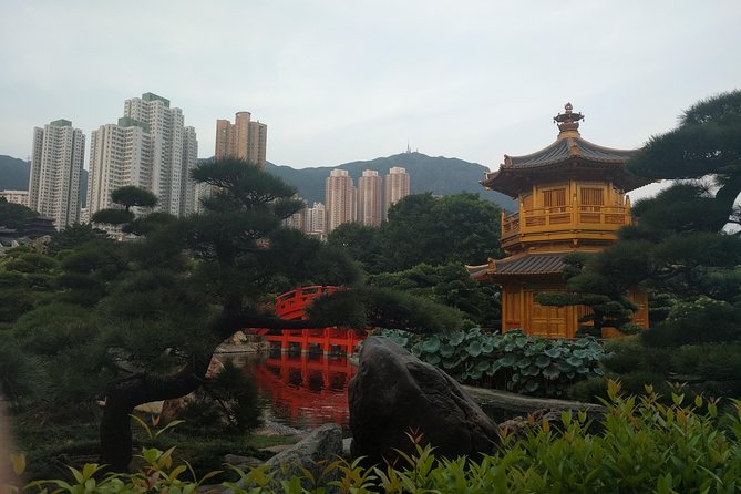 Taking You to Every Corner of Hong Kong! - Customizing the Experience