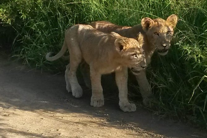 Tala Game Reserve. Natal Lion Park and Valley of 1000 Hills - About Your Stay