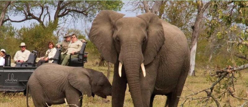 Tala Game Reserve & Natal Lion Park Full Day Tour Fr Durban - Key Points