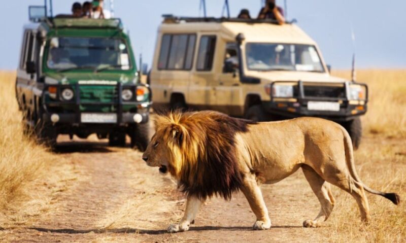Tala Game Reserve & Natal Lion Park Full Day Tour Fr Durban - Tala Game Reserve