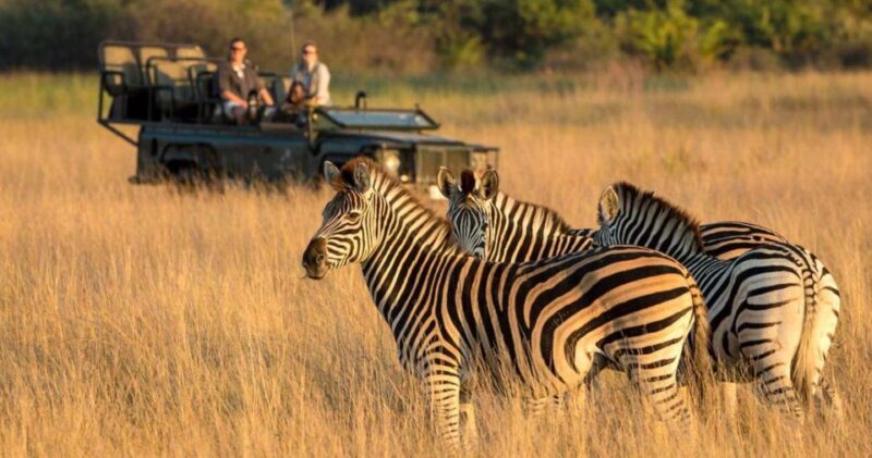 Tala Game Reserve & Natal Lion Park Full Day Tour Fr Durban - Phezulu Safari Park