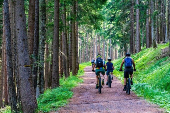 Talence: Bike and Accessories Rentals - Private Group Experience