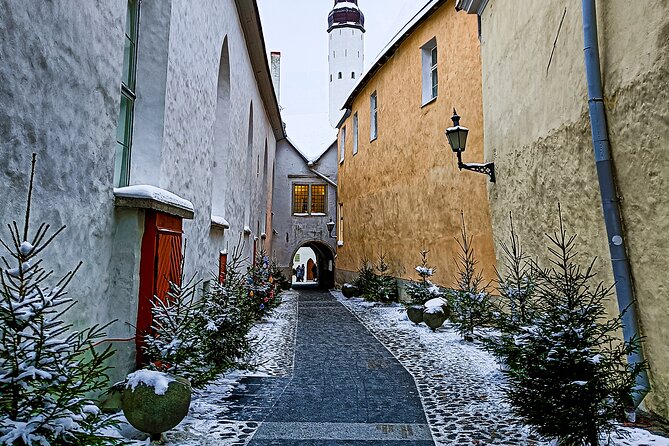 Tales of Old Tallinn 2-hour Walking Tour - Meeting Details