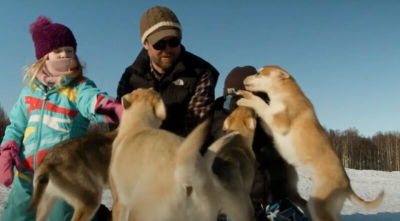 Talkeetna: Alaskan Winter Dog Sledding Experience - Whats Included
