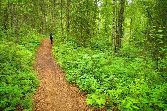 Talkeetna Lakes Hike Guided by a Naturalist - An In-Depth Look at the Talkeetna Lakes Hike Experience