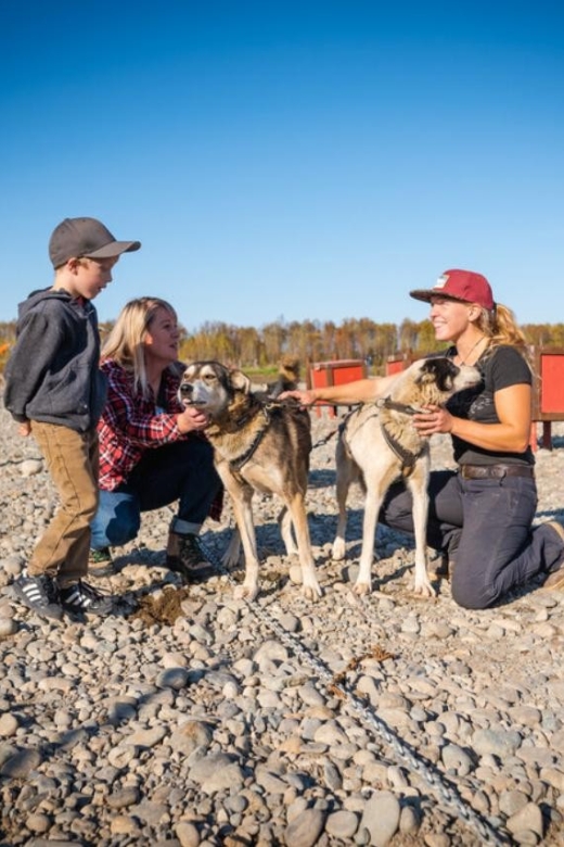 Talkeetna: Mushing Experience With Iditarod Champion Dogs - Participant Considerations