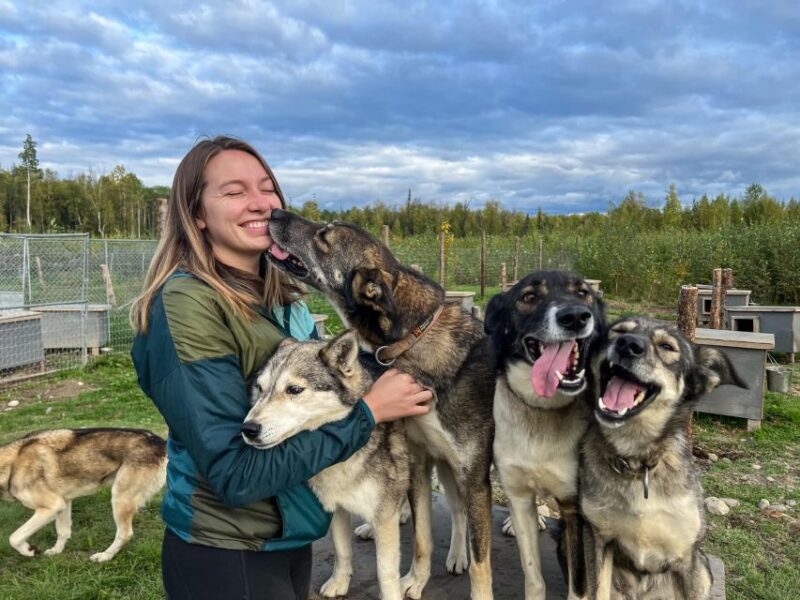 Talkeetna: Summer Sled Dog Kennel Tour - Experience Highlights