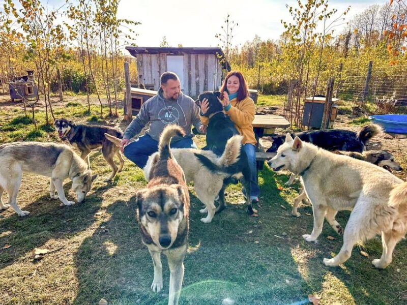 Talkeetna: Summer Sled Dog Kennel Tour - Booking Information