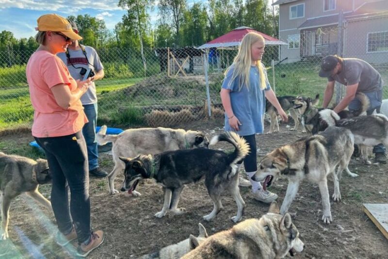 Talkeetna: Summer Sled Dog Kennel Tour - Suitability