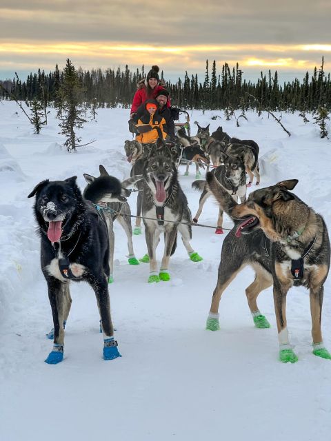 Talkeetna: Winter Dog Sled Tour Morning or Night Mush! - Participant Requirements