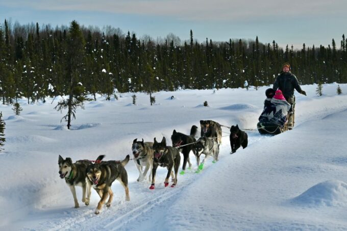 Talkeetna: Winter Dog Sled Tour Morning or Night Mush! - Frequently Asked Questions