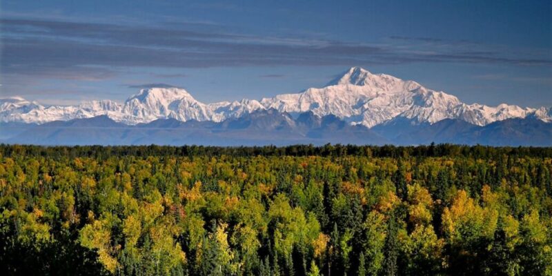 Talkeetna: Zipline Tour - Pricing and Availability