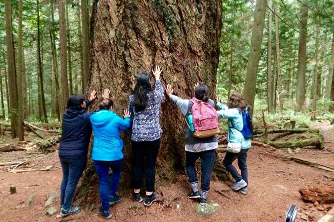 Talking Trees: Stanley Park Indigenous Walking Tour Led by a First Nations Guide - Insight Into First Peoples History
