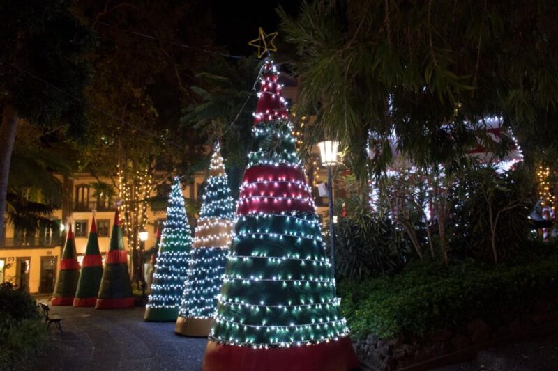 Tallahassee Delights: A Christmas Tour Through Art and Parks - Key Points