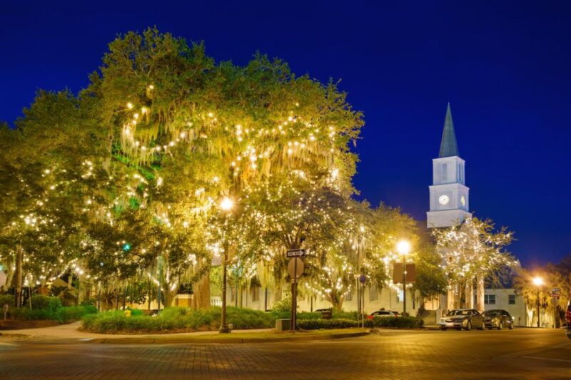 Tallahassee Delights: A Christmas Tour Through Art and Parks - Itinerary