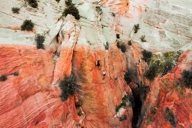 Tallest in Utah via Ferrata & Rappelling (4 Hr) - Key Points