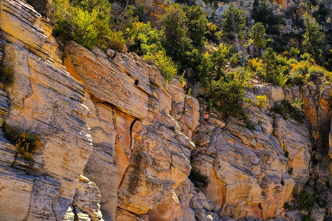 Tallest in Utah via Ferrata & Rappelling (4 Hr) - Skill and Fitness Requirements