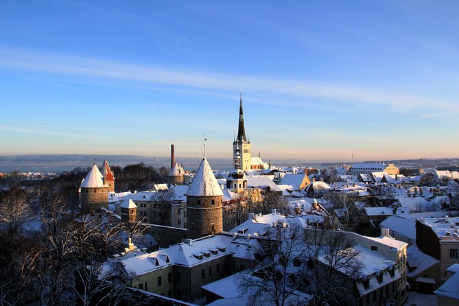 Tallinn City Private Tour - Tour Experience