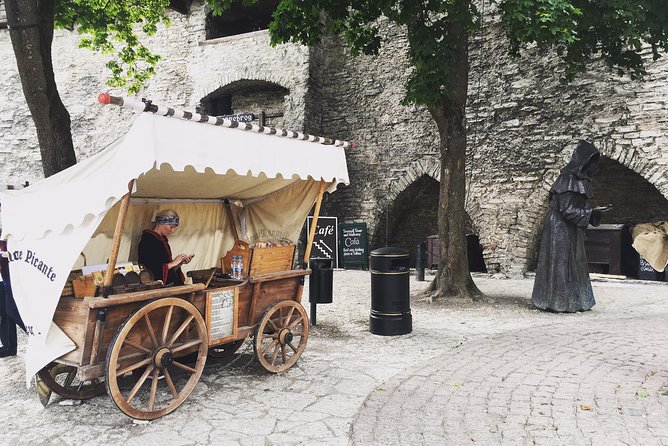 Tallinn Day Tour From Helsinki (Ferry Tickets+ Guiding+ Own Time) - Booking Information