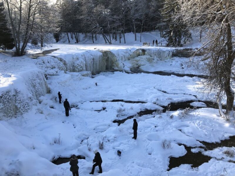 Tallinn: Half-Day Private Estonian Waterfalls - Customer Reviews