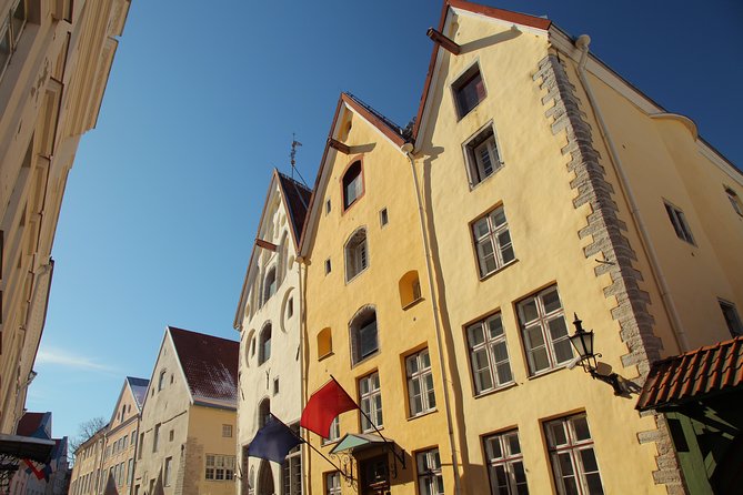 Tallinn Highlights and Marzipan Painting Masterclass - Marzipan Modeling and Painting
