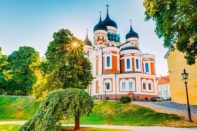 Tallinn Highlights and Marzipan Painting Masterclass - Savoring Tallinns Culinary Delights