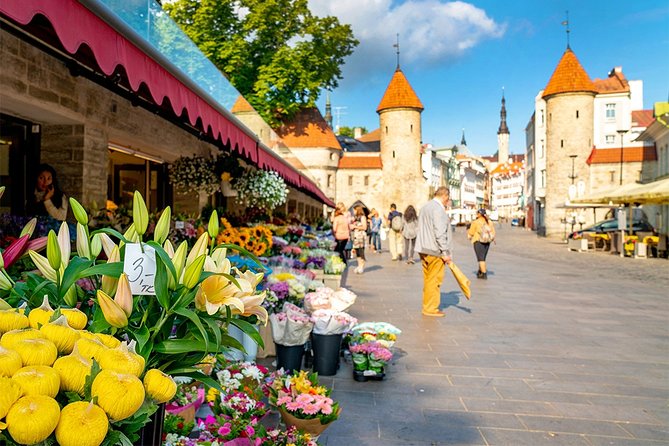 Tallinn Highlights and Marzipan Painting Masterclass - Discovering Tallinns Historic Churches