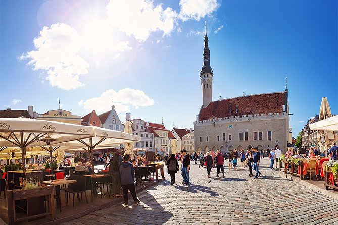Tallinn Highlights and Marzipan Painting Masterclass - Positive Feedback and High Satisfaction