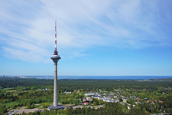 Tallinn Top Attractions and Viimsi Open Air Museum - Customer Feedback and Highlights