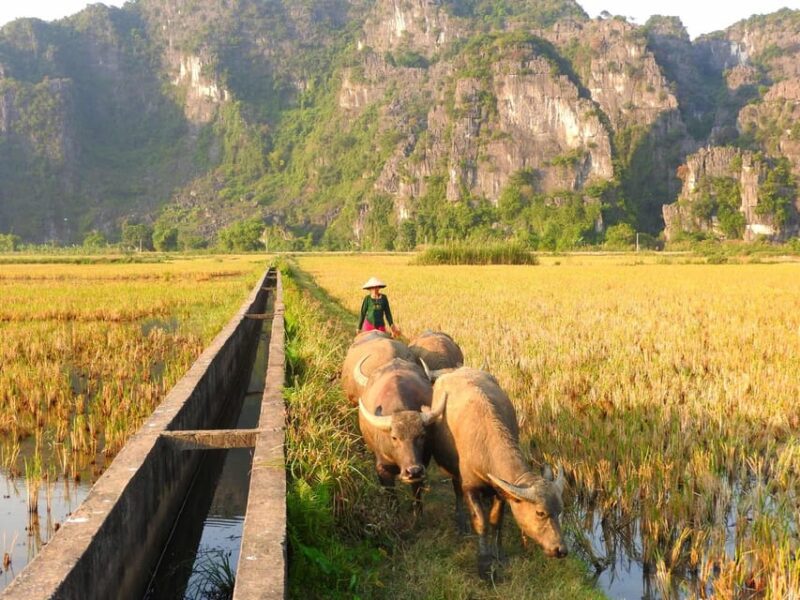 Tam Coc - Bich Dong - Bird Valley Bike Tour - Important Information