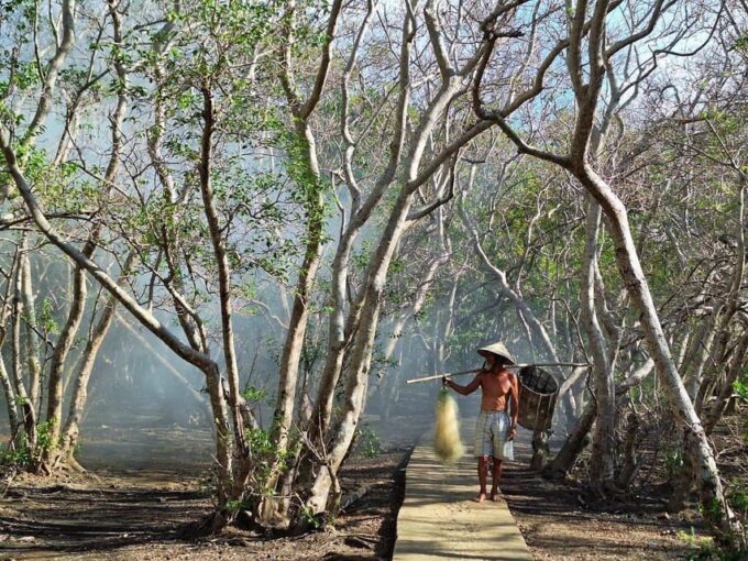 Tam Giang Lagoon & Boat Day Trip With Fishing Experience - Pickup and Transportation