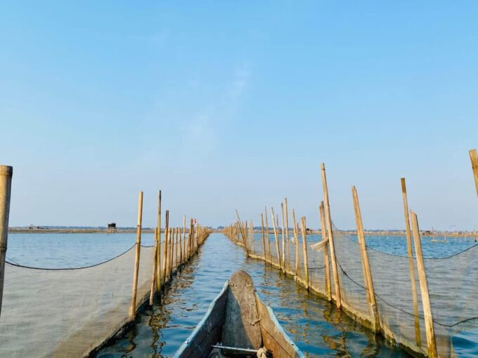 Tam Giang Lagoon & Boat Day Trip With Fishing Experience - Seafood Dining Experience