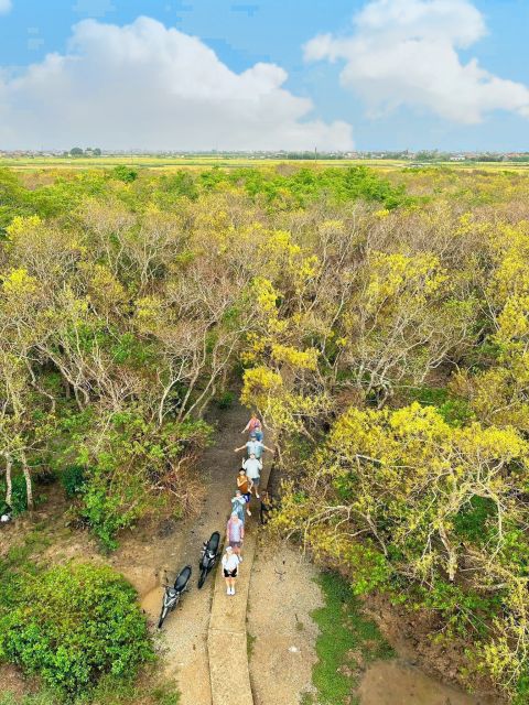 Tam Giang Lagoon & Boat Day Trip With Fishing Experience - Whats Included in the Tour
