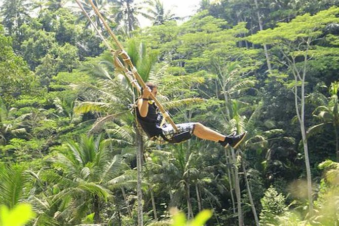 Taman Ayun Temple, Sangeh Monkey Forest, Swing Included Transport & Lunch - Health and Accessibility