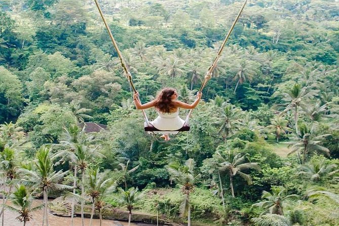 Taman Ayun Temple, Sangeh Monkey Forest, Swing Included Transport & Lunch - Attractions Included