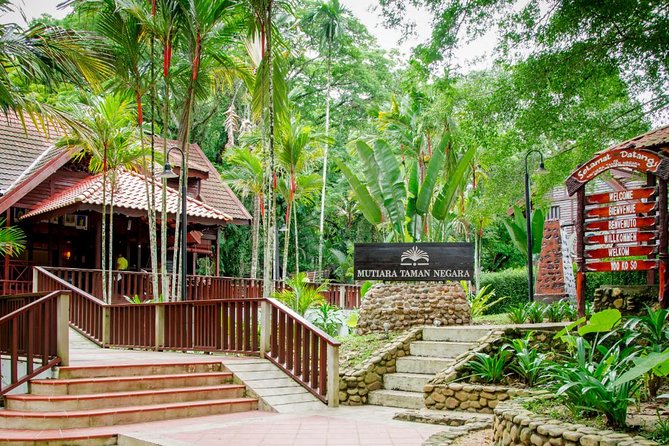 Taman Negara Day Tour With Canopy Walk - Key Points
