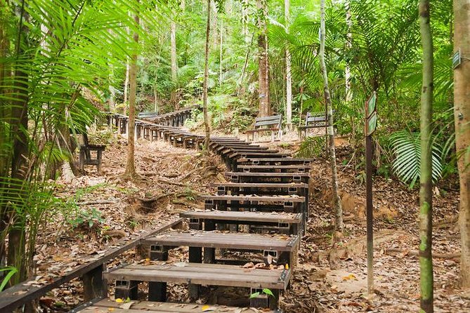 Taman Negara Day Tour With Canopy Walk - Transportation and Inclusions