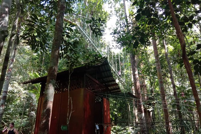 Taman Negara National Park DAY Tour (SIC - Join In Tour) - Pickup and Meeting Points